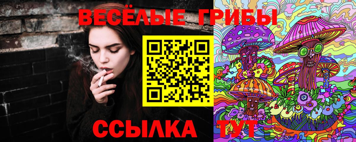 Артём  Псилоцибиновые грибы ЛСД  Вход с VPN  Галлюциногенные грибы ЛСД 